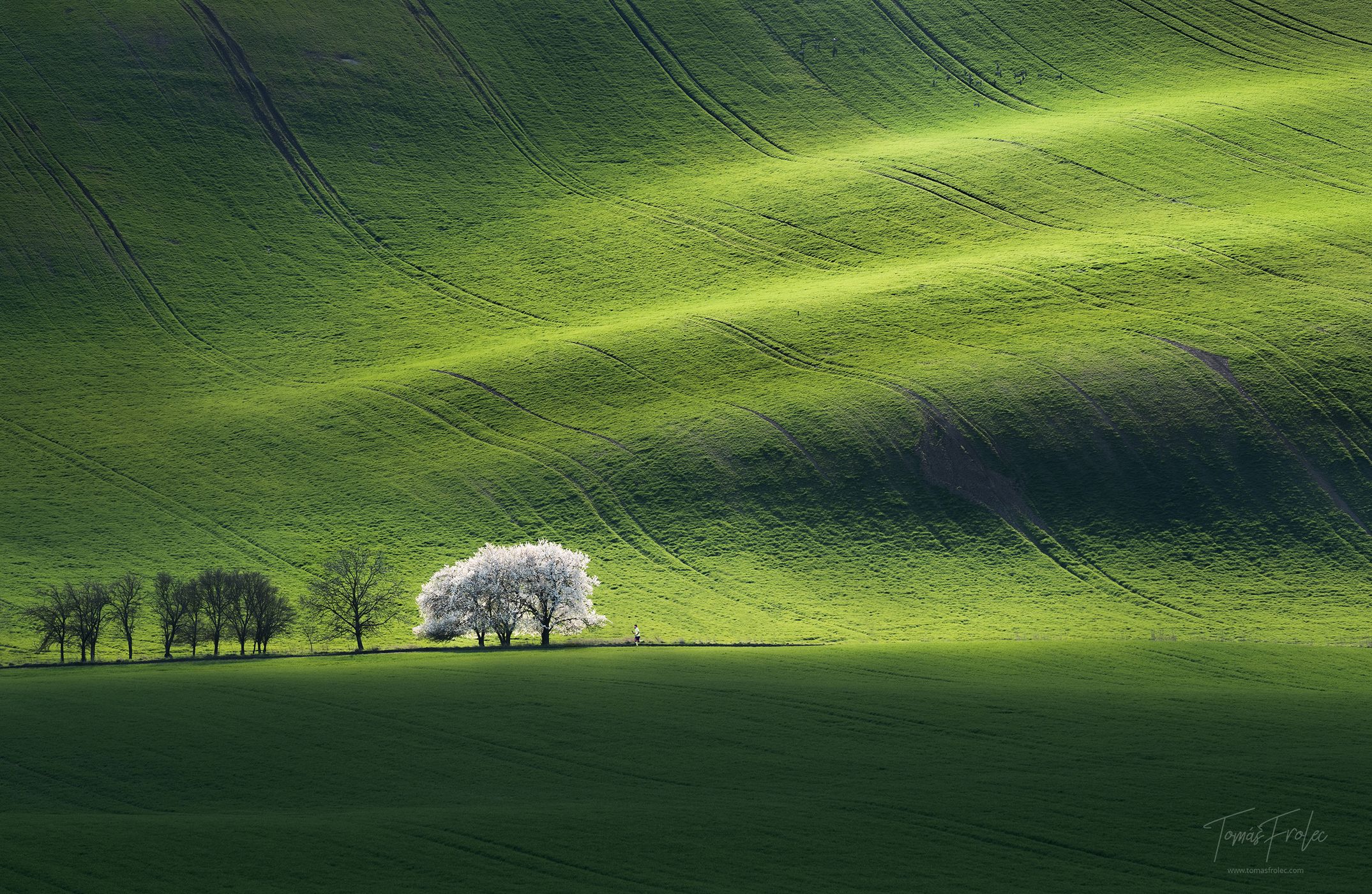 Rolling hills, Moravia, Czech Republic