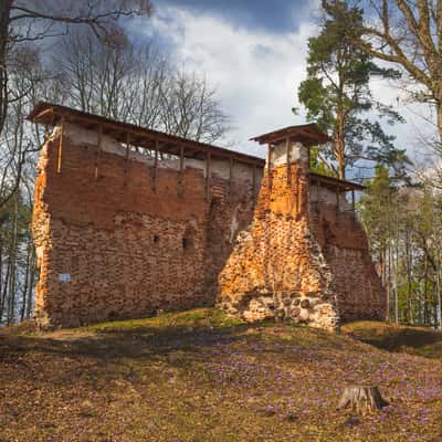 Ruins of medieval castle, Rõngu, Estonia