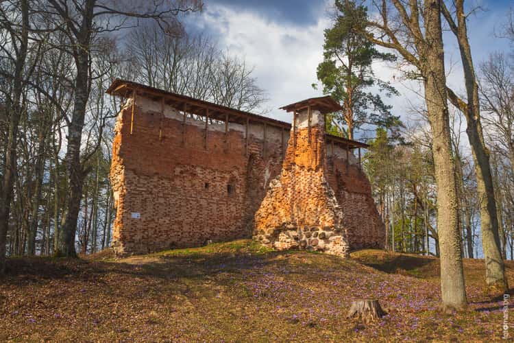 Ruins of medieval castle, Rõngu