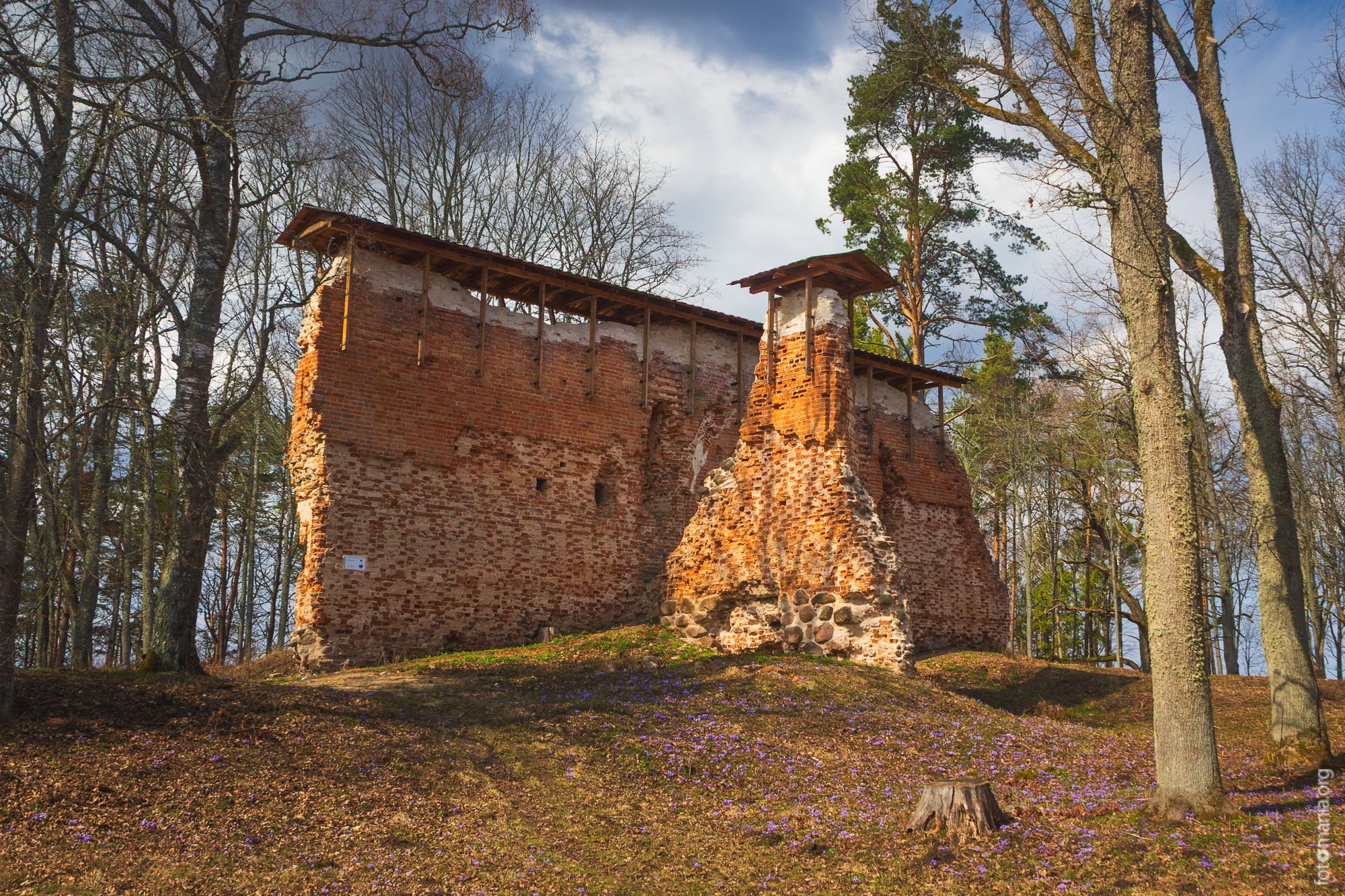 Ruins of medieval castle, Rõngu, Estonia