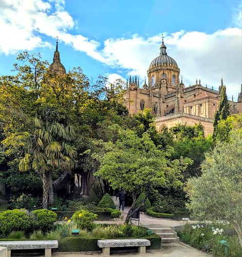 Salamanca Cathedral