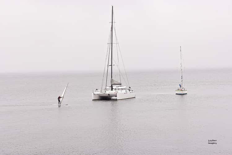 Salamander Bay Sailing Club Cafe