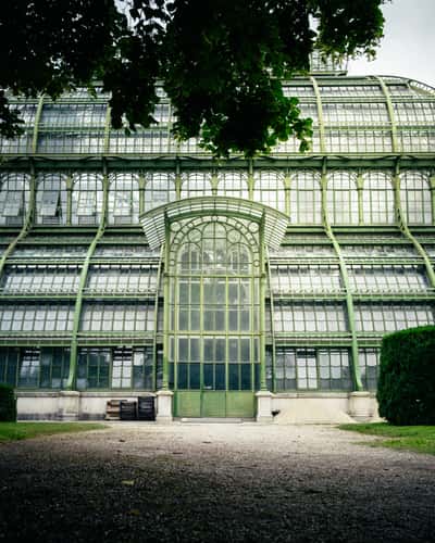 Schönbrunn, Palmenhaus