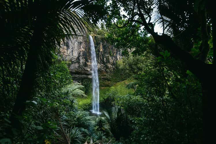 Second viewpoint Bridal Veil Falls, Raglan