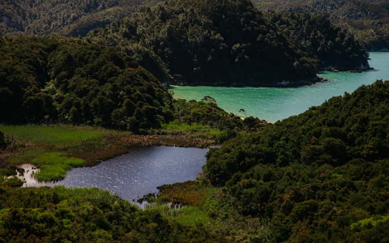 Small lake and ocean view, Abel Tasman Coast Track