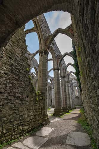 St. Catherine’s church ruin