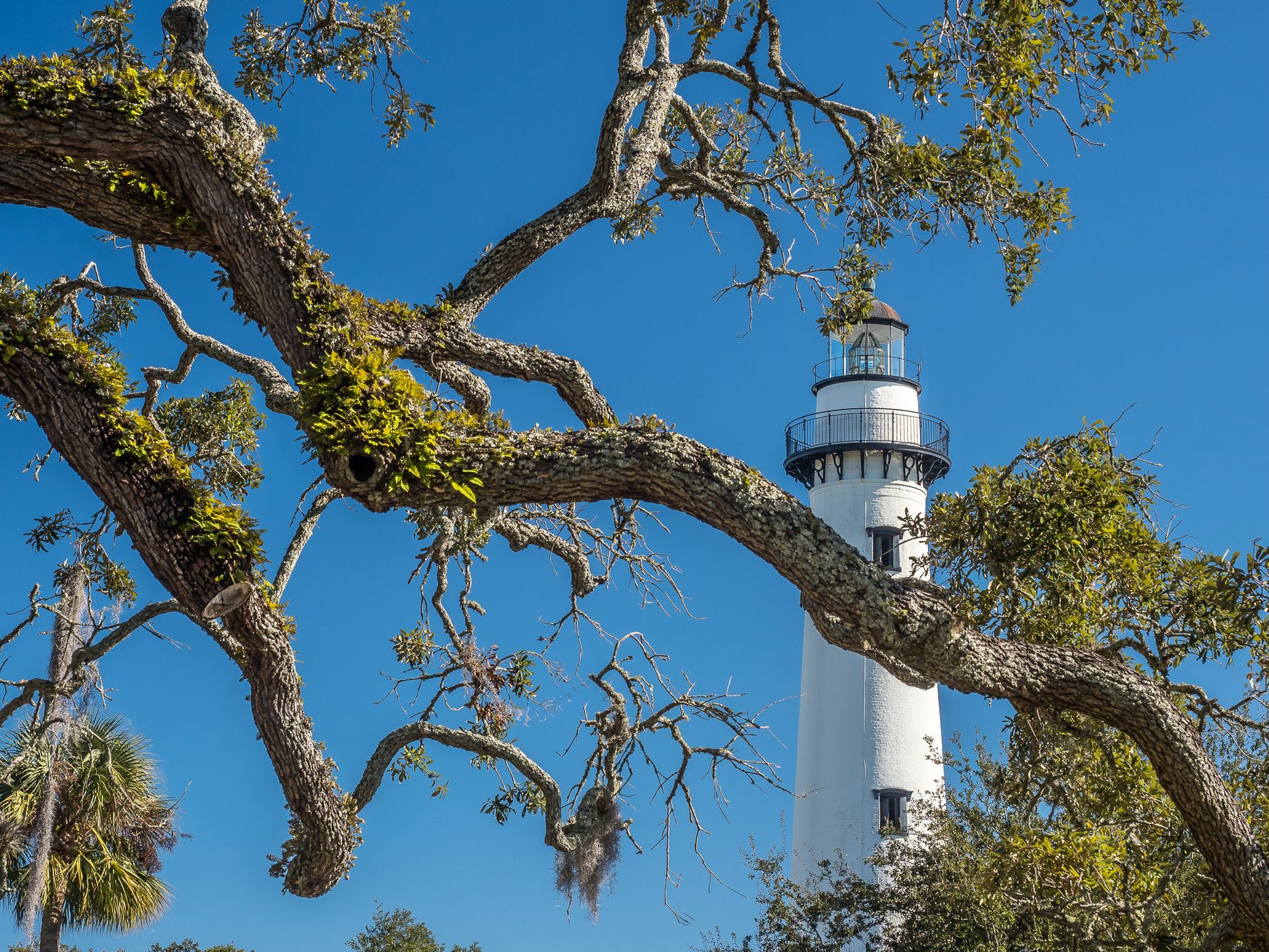 St. Simons Island Light, USA