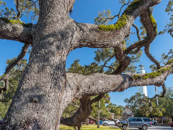 St. Simons Island Light