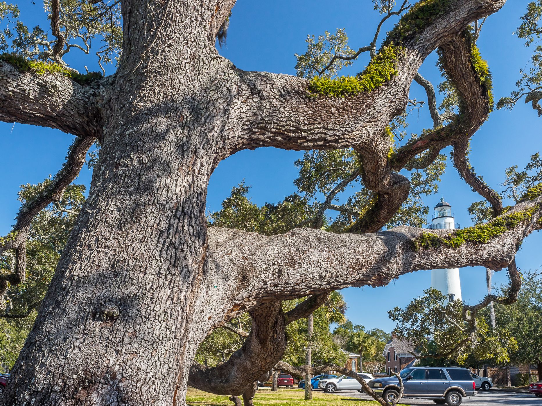 St. Simons Island Light, USA