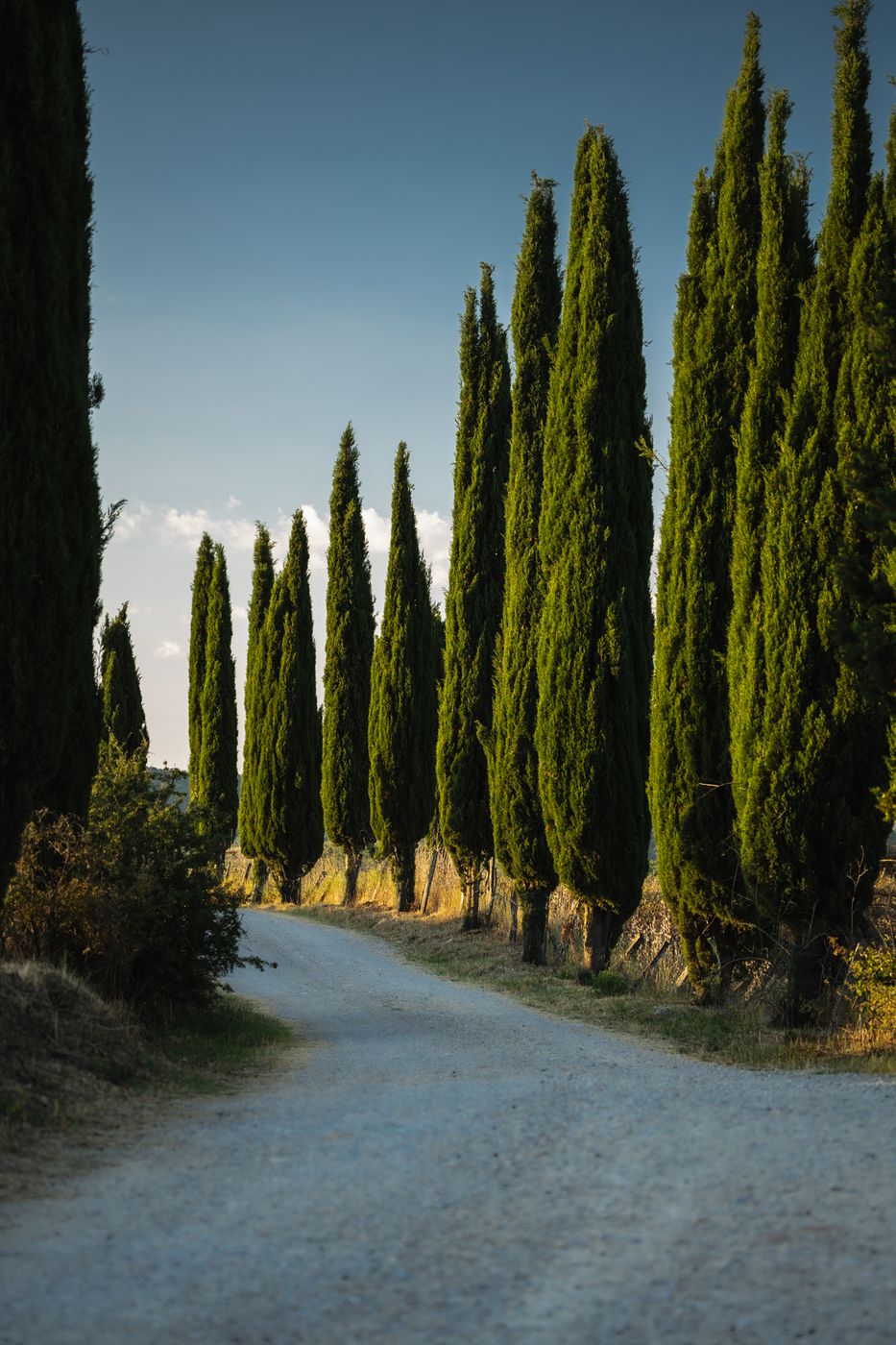 Strada Provinciale 14, Italy