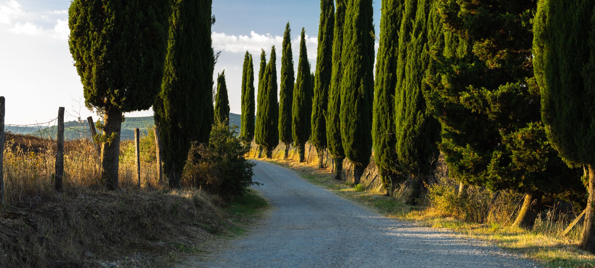 Strada Provinciale 14, Italy