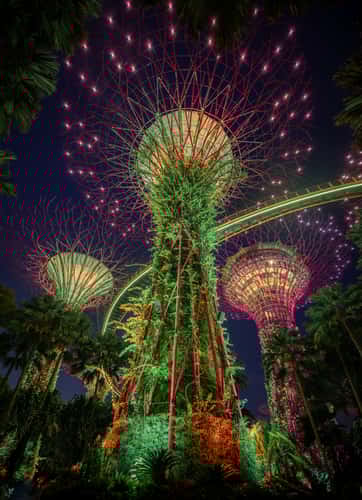 Supertree Grove, Gardens by the bay