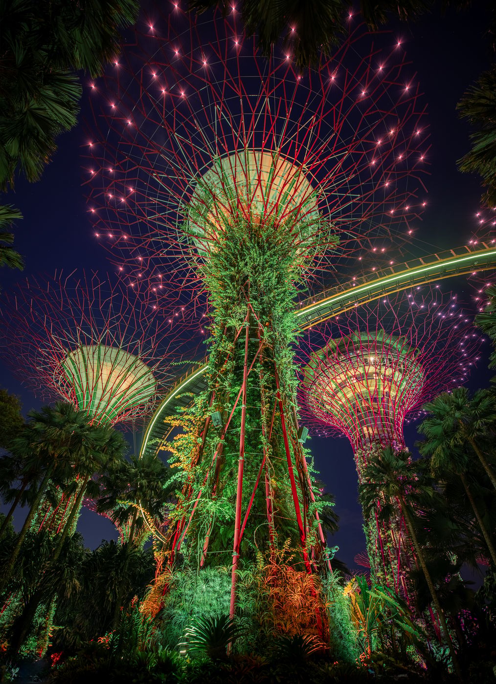 Supertree Grove, Gardens by the bay, Singapore