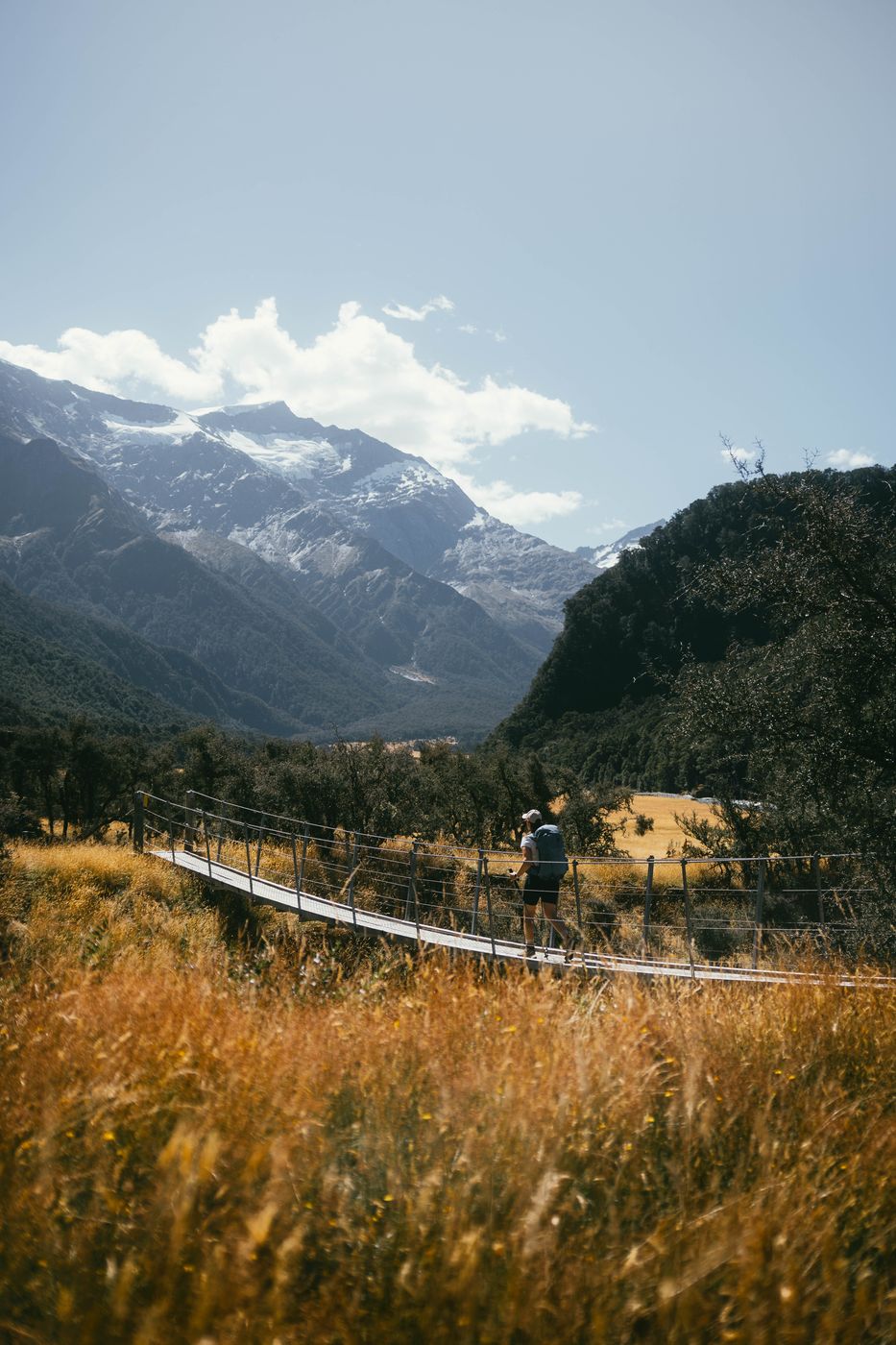 Suspension bridges in Mount Aspiring valley, Liverpool Track, New Zealand