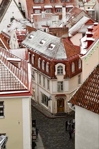 Tallin Old Town Viewing Platform