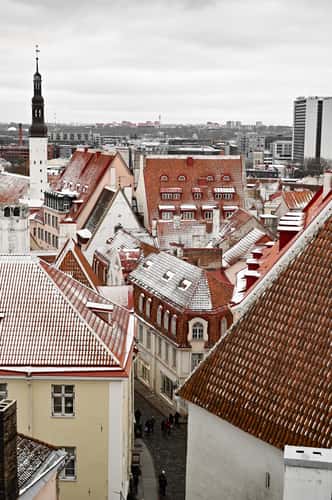 Tallin Old Town Viewing Platform