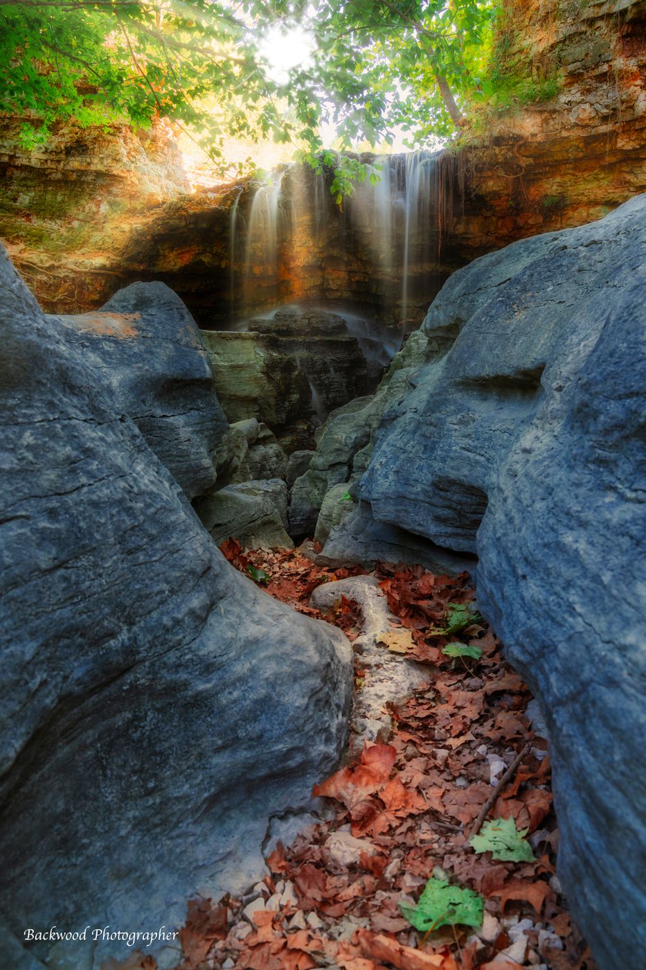 Tanyard Creek Nature Trail, USA