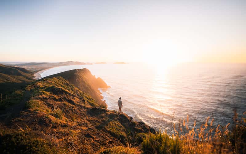 Te Werahi Beach Track, Cliffs