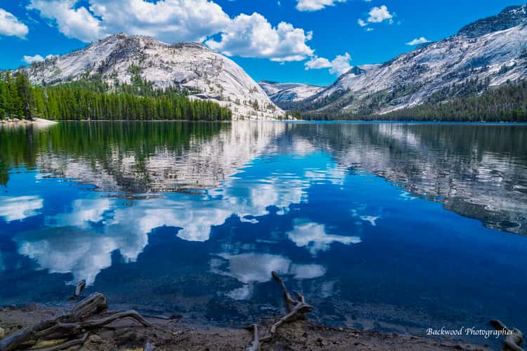 Tenaya Lake
