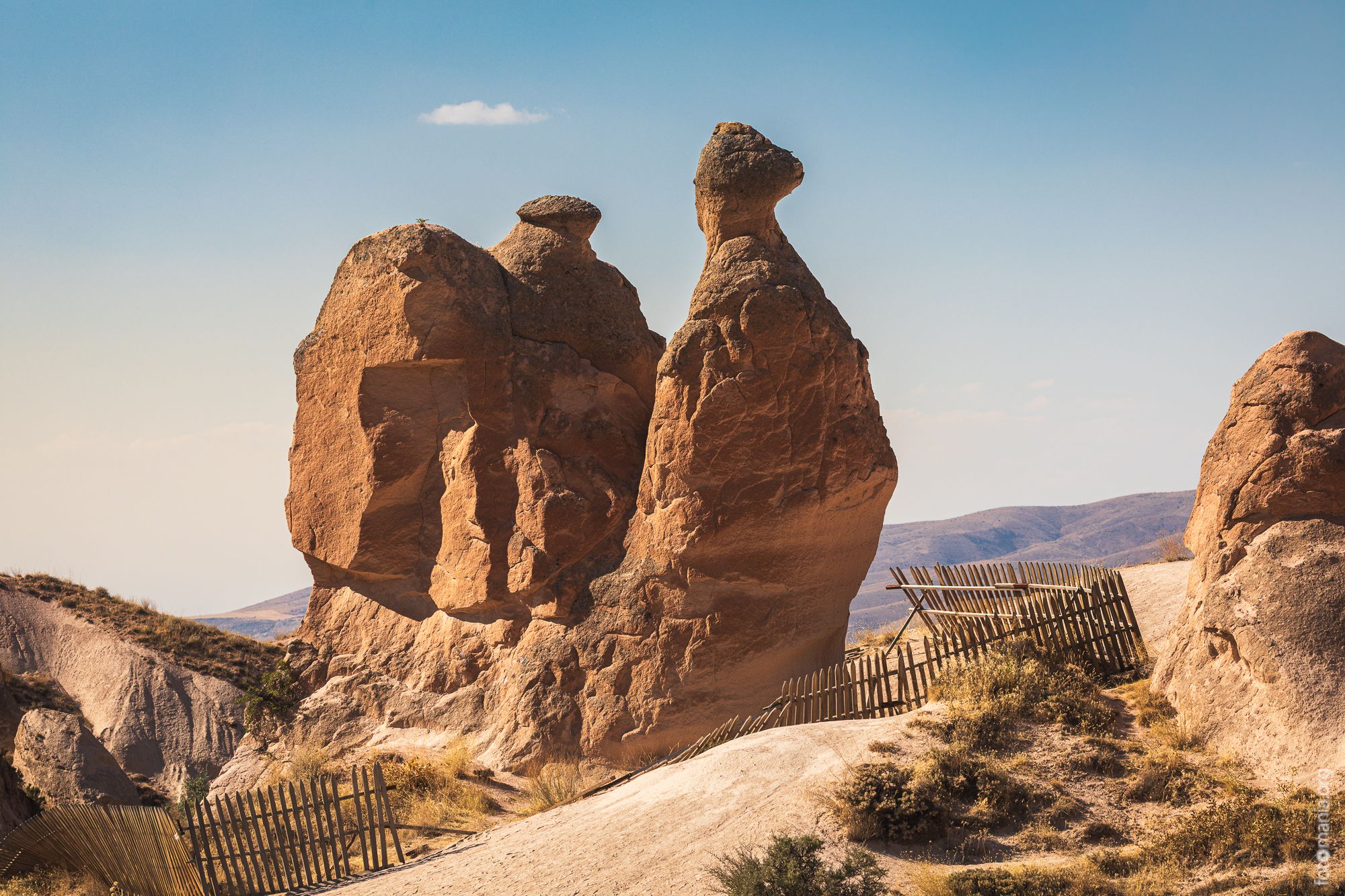 The Camel, Turkey (Türkiye)