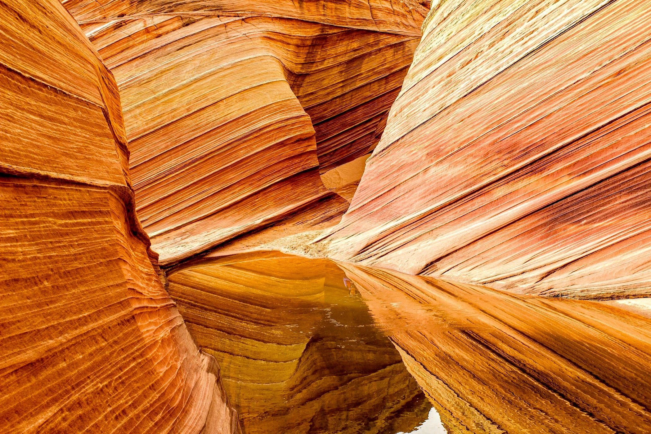 The Wave, USA