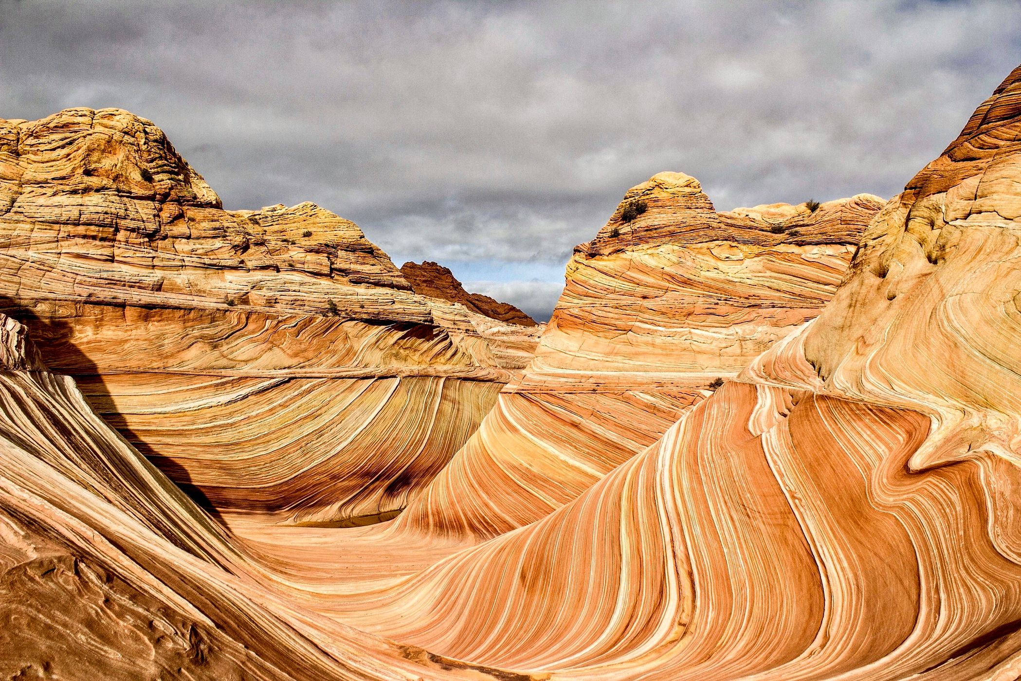 The Wave, USA