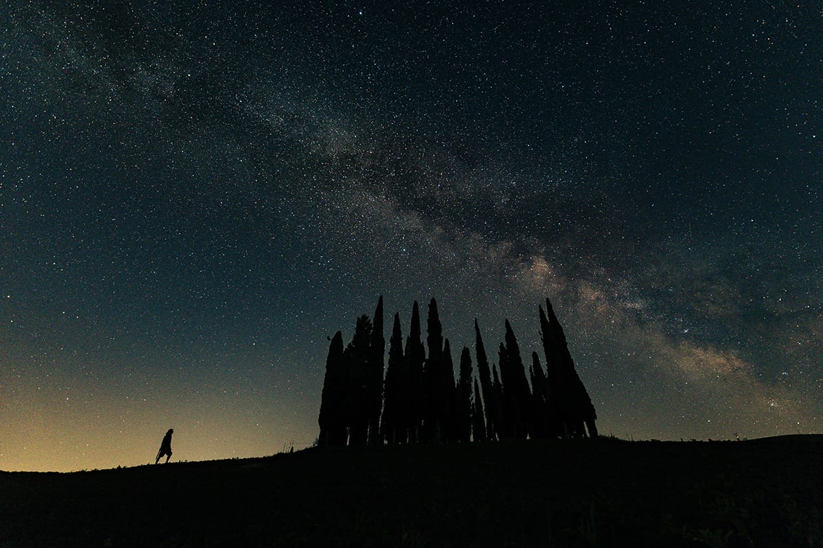 Tuscany Grove, Italy