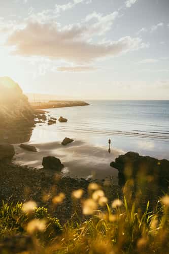 Unknown Beach at Abel Tasman Drive