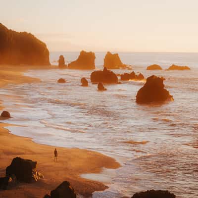 Unnamed beach near Ship Creek, West Coast, New Zealand