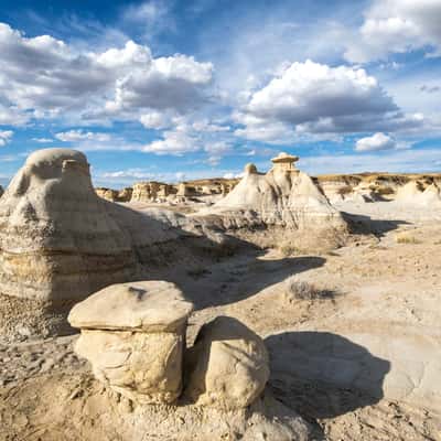 Valley of Dreams, USA