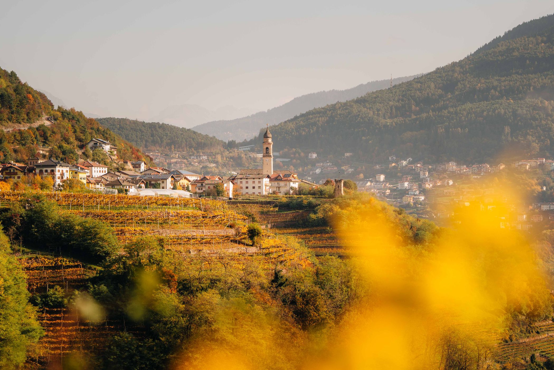 View from Cembra to the Church of Altavalle, Italy