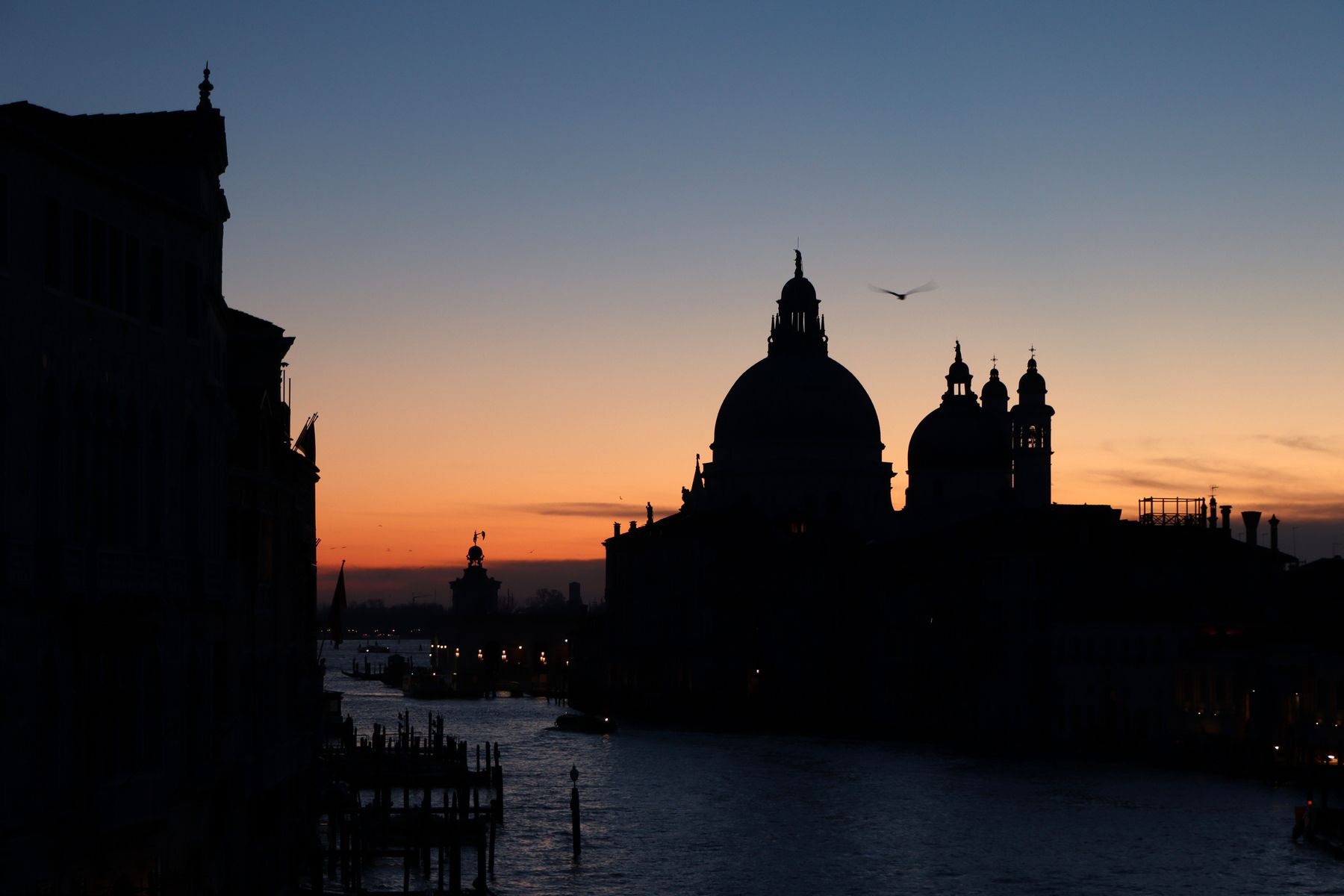 View from Ponte dell'Accademia, Venice, Italy