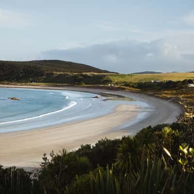 Waikato Bay, Northland, New Zealand