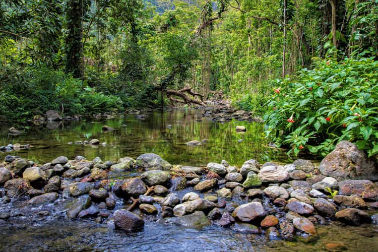 Waipi’o Valley