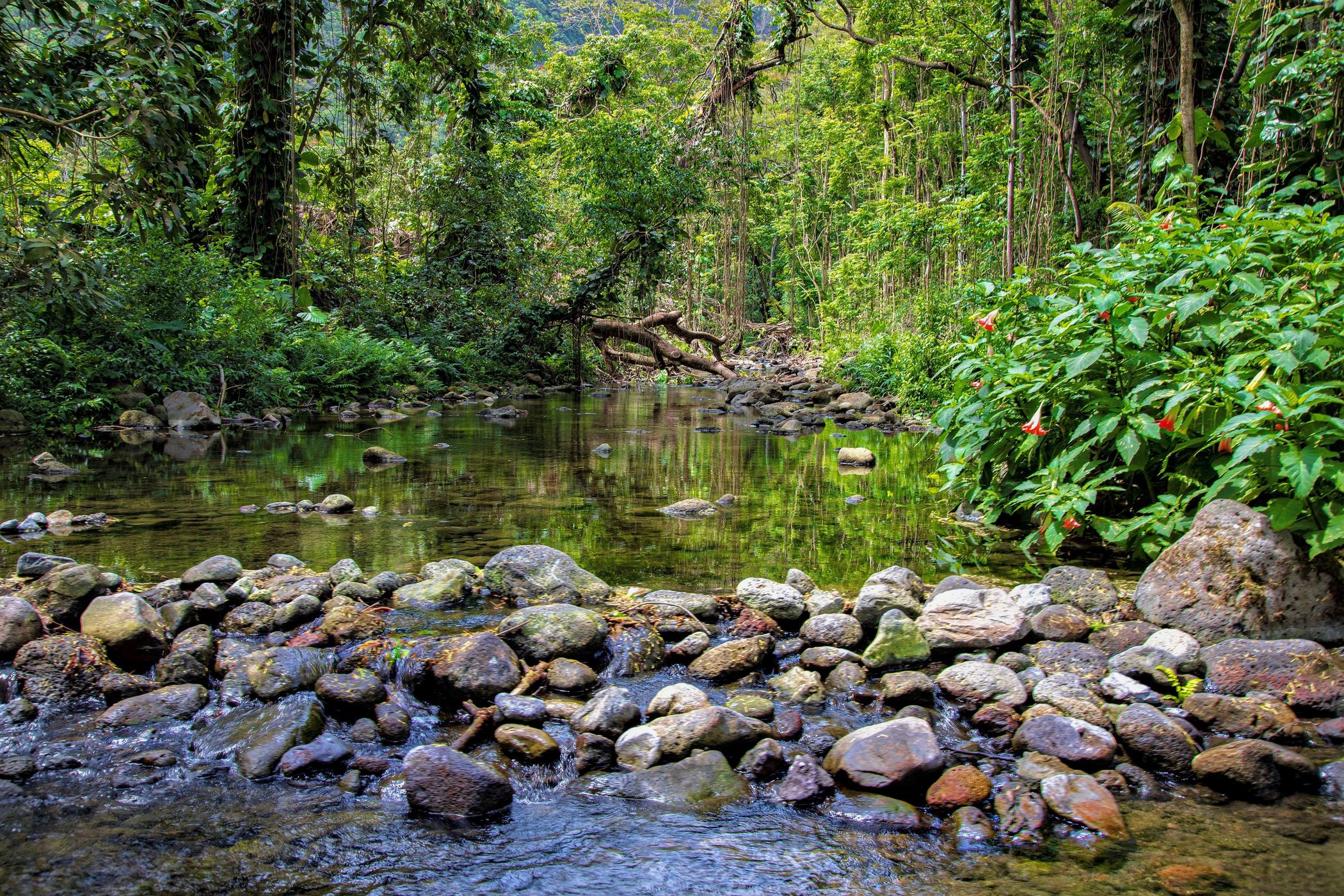 Waipi’o Valley, USA