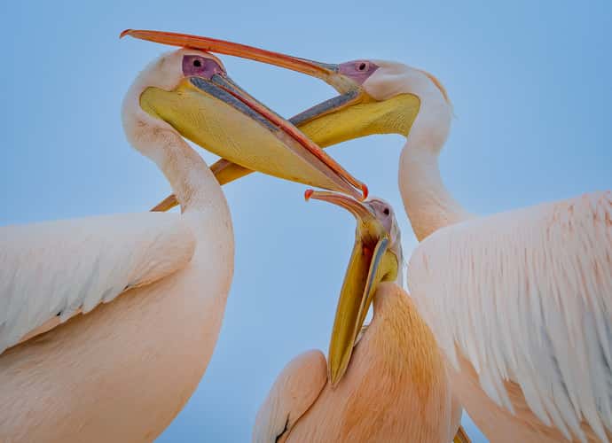 WALVIS BAY