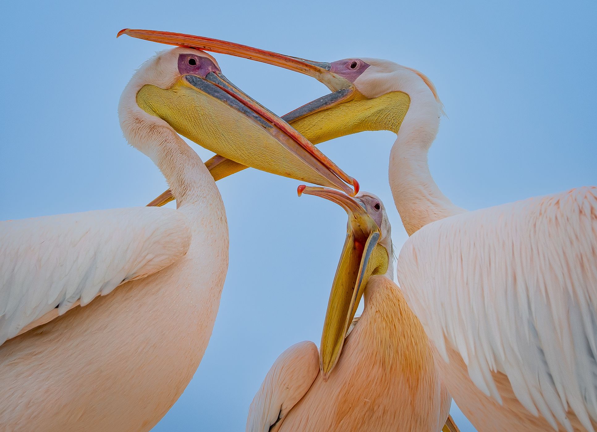 WALVIS BAY, Namibia