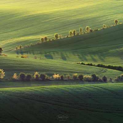Waves of Karlin, Czech Republic
