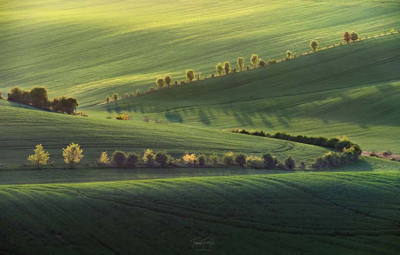 Waves of Karlin