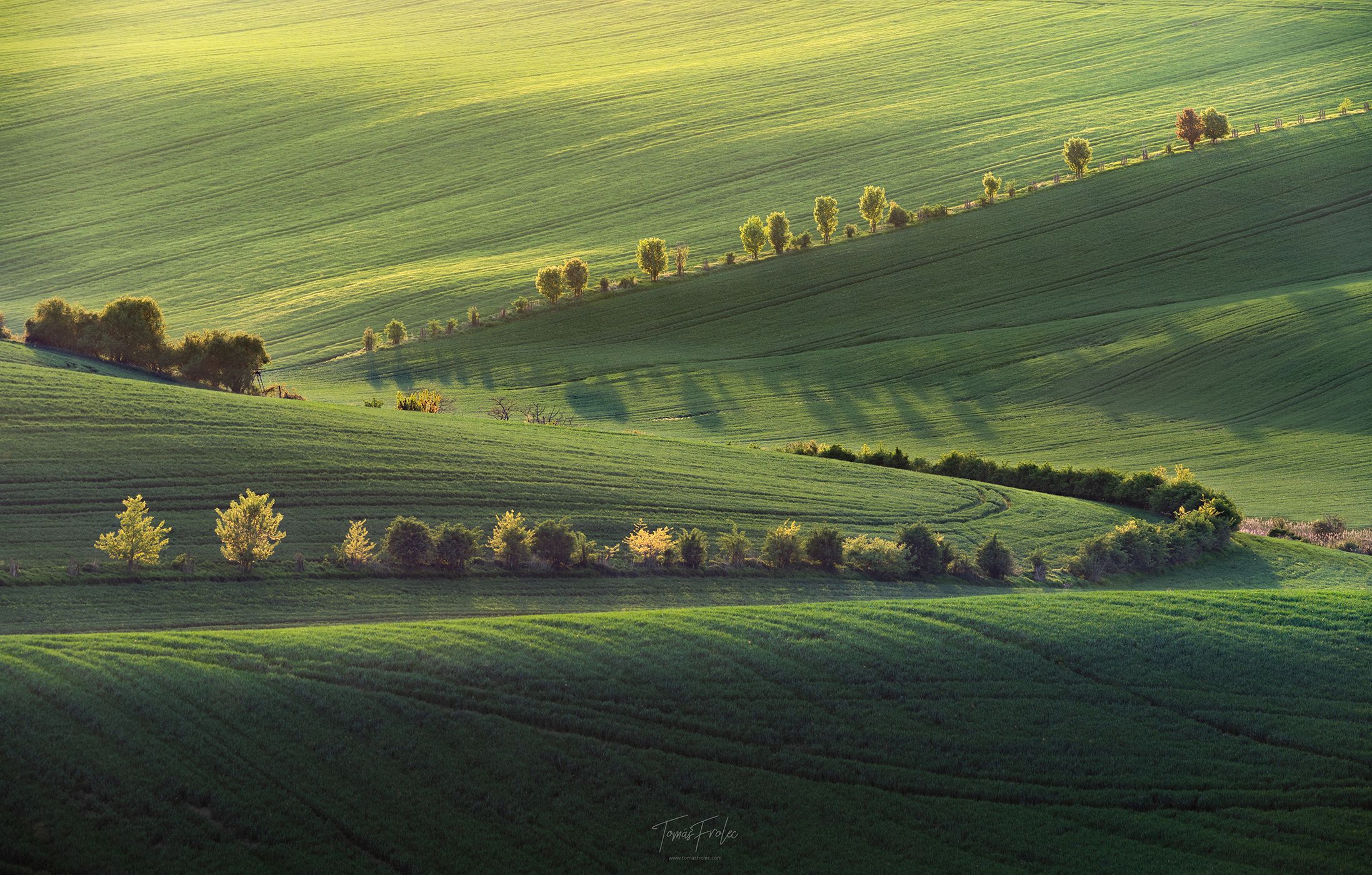 Waves of Karlin, Czech Republic