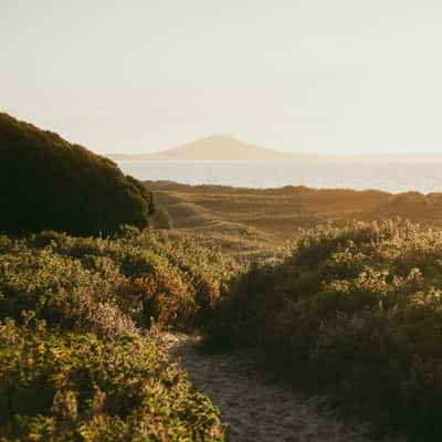 Way to Karikari Beach, Northland, New Zealand