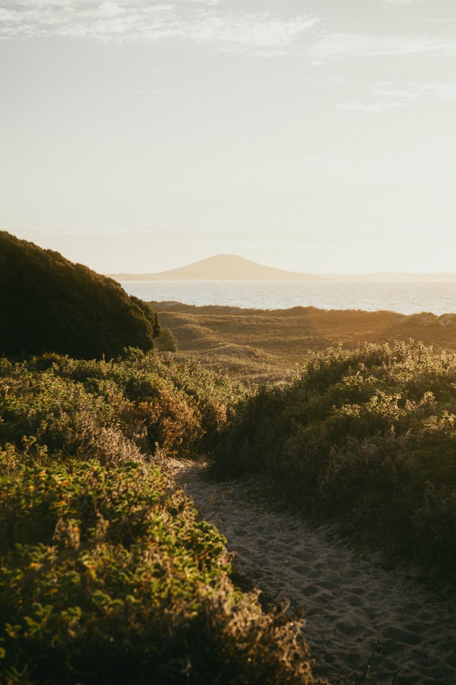Way to Karikari Beach, Northland, New Zealand