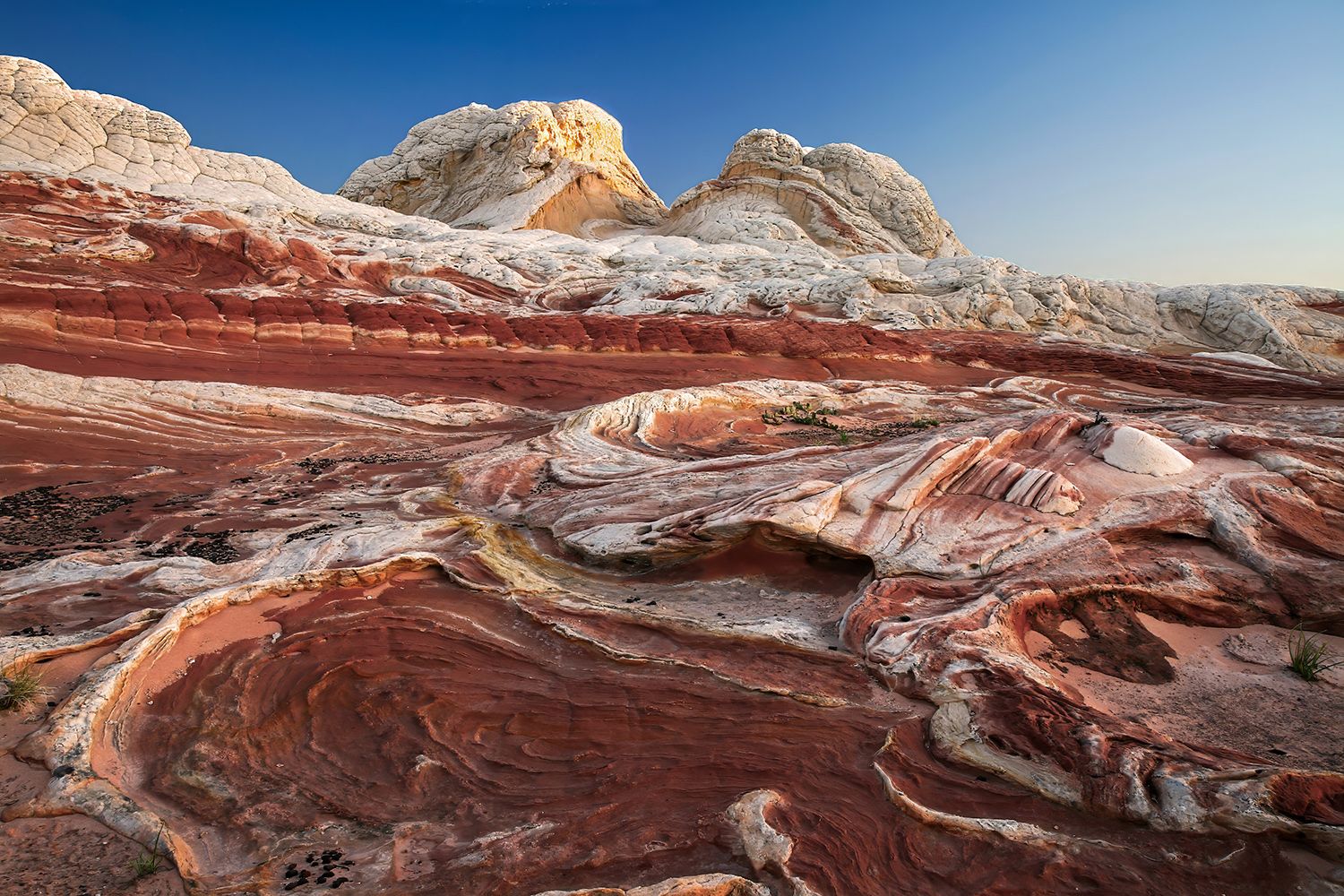 White Pocket, USA