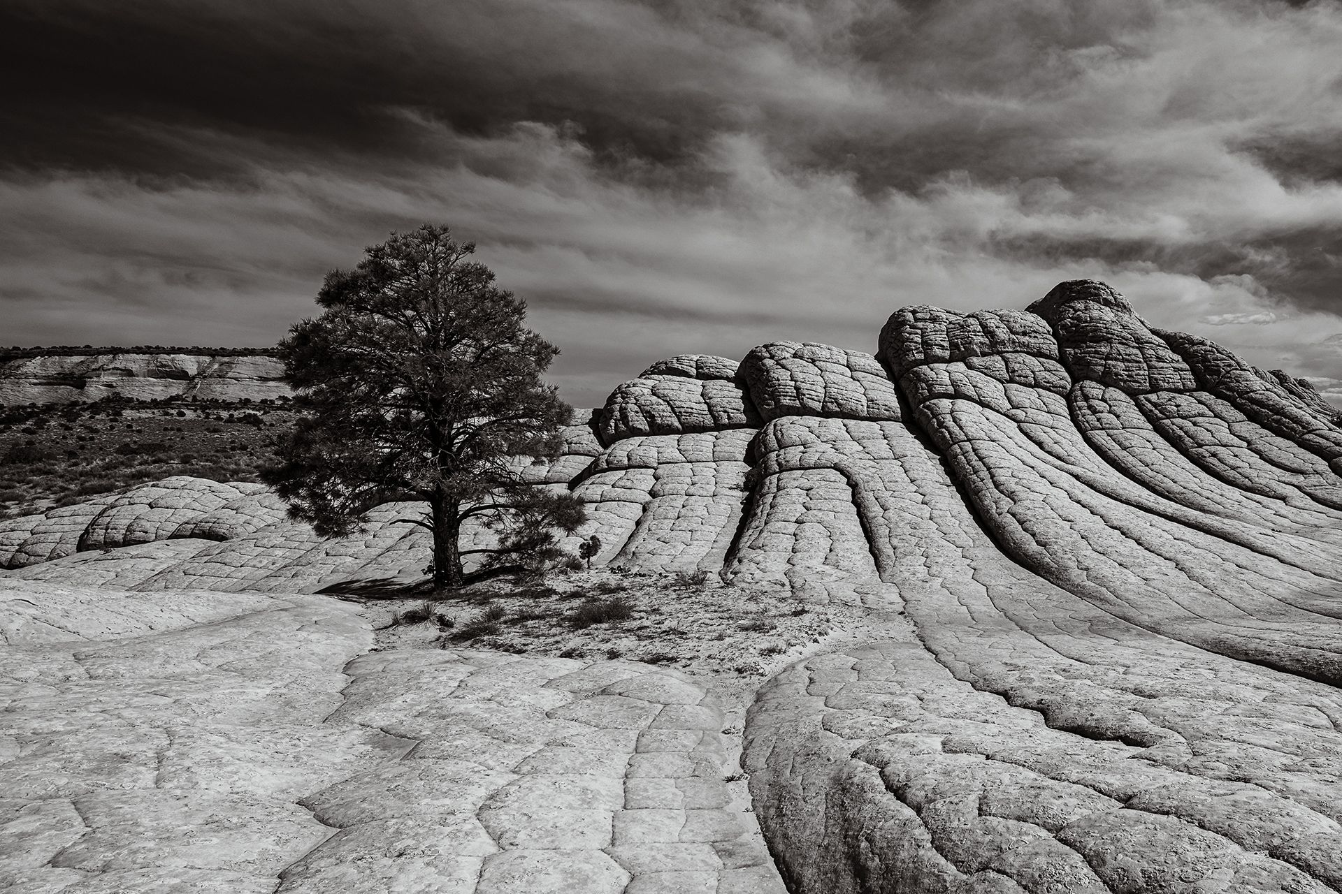 White Pocket, USA