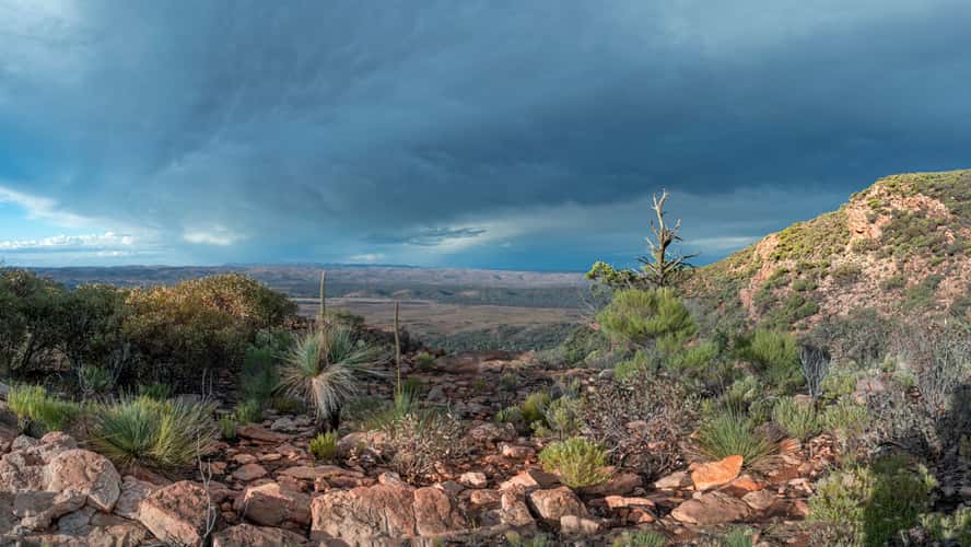 Wilpena Pound From Stokes Hill