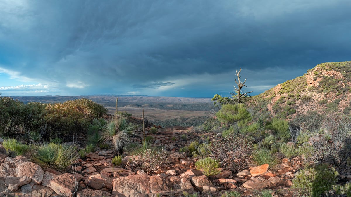Wilpena Pound From Stokes Hill, Australia