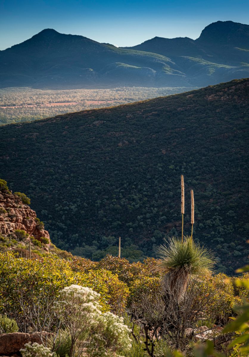 Wilpena Pound From Stokes Hill, Australia