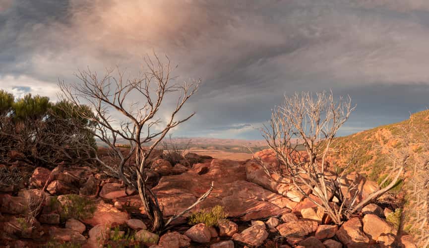 Wilpena Pound From Stokes Hill