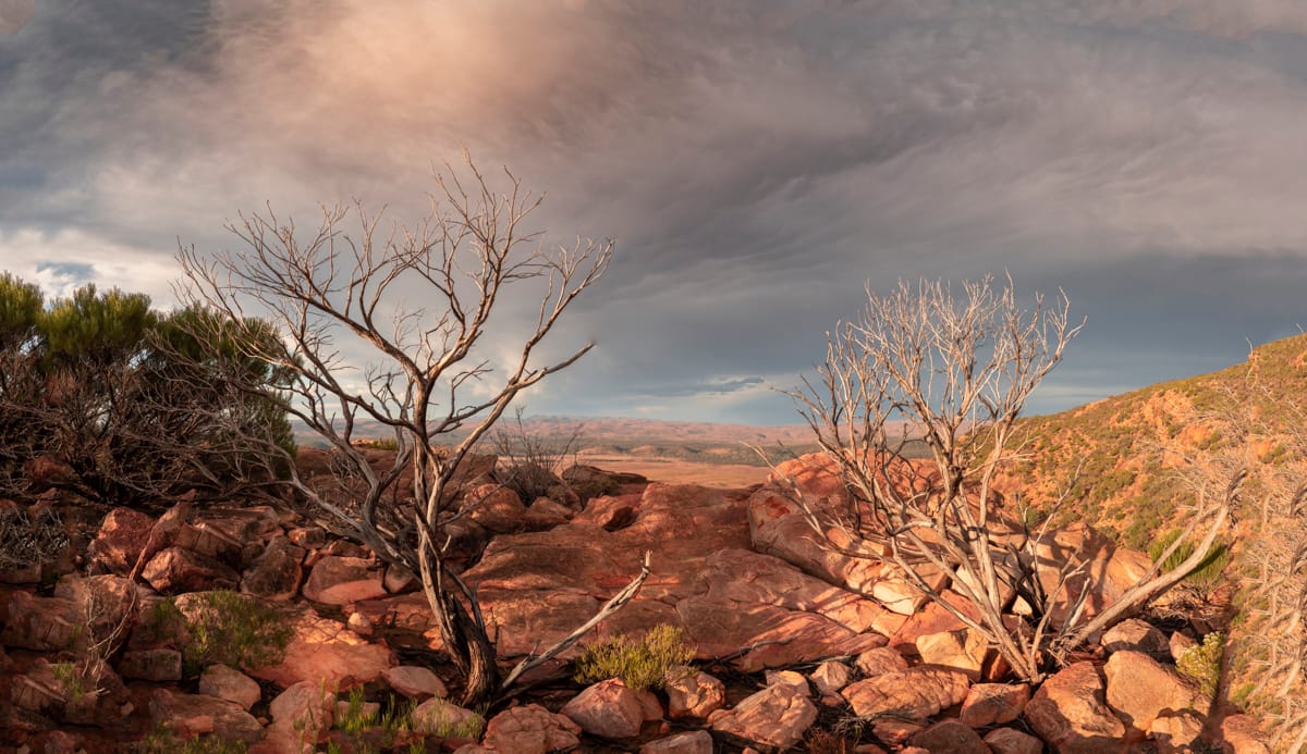 Wilpena Pound From Stokes Hill, Australia