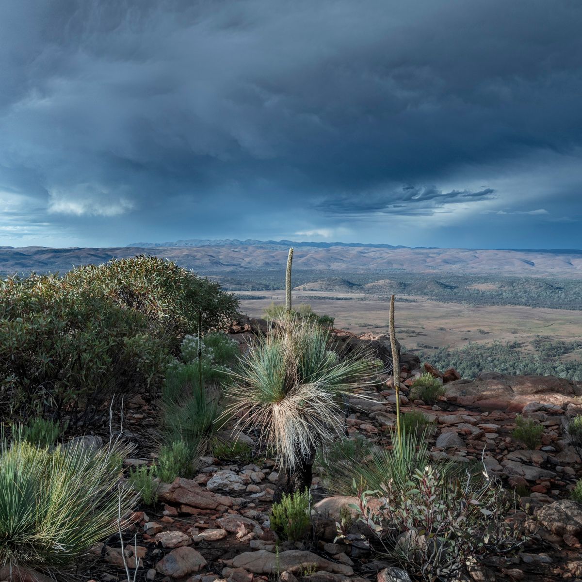 Wilpena Pound From Stokes Hill, Australia
